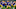 College Football College Football