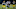 Green Bay Packers Green Bay Packers
