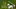Zurich Classic of New Orleans, PGA Tour, TPC Louisiana, Zurich Classic, Xander Schauffele, Patrick Cantlay Zurich Classic of New Orleans, PGA Tour, TPC Louisiana, Zurich Classic, Xander Schauffele, Patrick Cantlay