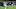 Real Madrid, Casemiro