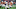 Kyler Murray, Oklahoma Sooners Kyler Murray, Oklahoma Sooners