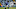 Leicester City Leicester City