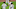 DraftKings DraftKings