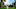 The Masters DraftKings picks The Masters DraftKings picks