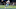Tim Heitman-USA TODAY Sports Tim Heitman-USA TODAY Sports