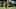 Green Bay Packers Green Bay Packers