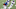 Philadelphia Eagles Rudy Ford Philadelphia Eagles Rudy Ford