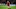 Robertson liverpool back four southampton Robertson liverpool back four southampton