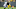Green Bay Packers Green Bay Packers
