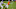 Chicago Bears, Anthony Miller Chicago Bears, Anthony Miller
