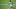 LONDON, ENGLAND – SEPTEMBER 12: Kyle Walker-Peters of Southampton controls the ball during the Premier League match between Crystal Palace and Southampton at Selhurst Park on September 12, 2020 in London, United Kingdom. (Photo by Sebastian Frej/MB Media/Getty Images) LONDON, ENGLAND – SEPTEMBER 12: Kyle Walker-Peters of Southampton controls the ball during the Premier League match between Crystal Palace and Southampton at Selhurst Park on September 12, 2020 in London, United Kingdom. (Photo by Sebastian Frej/MB Media/Getty Images)