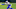 dallas cowboys dallas cowboys