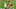 Seattle Seahawks, Kerry Hyder Seattle Seahawks, Kerry Hyder