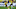 Borussia Dortmund midfielder Marco Reus Borussia Dortmund midfielder Marco Reus