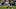 Oakland Raiders