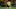 Axel Witsel. (Photo by Alex Grimm/Getty Images) Axel Witsel. (Photo by Alex Grimm/Getty Images)