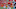 KANSAS CITY, MO – JANUARY 6: Tight end Travis Kelce KANSAS CITY, MO – JANUARY 6: Tight end Travis Kelce