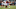 SF 49ers, NY Giants