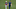 AUGUSTA, GEORGIA – APRIL 09: Justin Harding and Branden Grace of South Africa walk during a practice round prior to the Masters at Augusta National Golf Club on April 09, 2019 in Augusta, Georgia. (Photo by Kevin C. Cox/Getty Images) AUGUSTA, GEORGIA – APRIL 09: Justin Harding and Branden Grace of South Africa walk during a practice round prior to the Masters at Augusta National Golf Club on April 09, 2019 in Augusta, Georgia. (Photo by Kevin C. Cox/Getty Images)