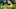 Green Bay Packers Green Bay Packers