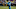 CHARLOTTE, NC – AUGUST 24: Curtis Samuel #10 of the Carolina Panthers runs the ball against the New England Patriots in the second quarter during their game at Bank of America Stadium on August 24, 2018 in Charlotte, North Carolina. (Photo by Streeter Lecka/Getty Images) CHARLOTTE, NC – AUGUST 24: Curtis Samuel #10 of the Carolina Panthers runs the ball against the New England Patriots in the second quarter during their game at Bank of America Stadium on August 24, 2018 in Charlotte, North Carolina. (Photo by Streeter Lecka/Getty Images)