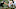 Philadelphia Eagles Bryce Thompson Philadelphia Eagles Bryce Thompson
