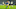 Brighton, Tottenham Brighton, Tottenham