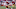 Elijah Mitchell, San Francisco 49ers Elijah Mitchell, San Francisco 49ers