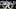 Joey Gallo, New York Yankees Joey Gallo, New York Yankees