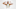 Indiana Pacers, Andrew Nembhard Indiana Pacers, Andrew Nembhard