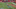 KC SD TD KC SD TD