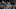 FanDuel NFL FanDuel NFL