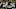 BOULDER, CO – SEPTEMBER 23: Juwann Winfree BOULDER, CO – SEPTEMBER 23: Juwann Winfree