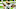 Green Bay Packers