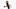 Philadelphia 76ers James Harden bobblehead Philadelphia 76ers James Harden bobblehead