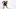 Boston Bruins Boston Bruins