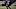 Trent Richardson AAF XFL Trent Richardson AAF XFL