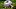 Patriots draft Patriots draft