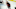 RALEIGH, NC – APRIL 22: Carolina Hurricanes Right Wing Justin Williams (14) reacts after scoring a goal in the third period during a game between the Carolina Hurricanes and the Washington Capitals on April 22, 2019 at the PNC Arena in Raleigh, NC. (Photo by Greg Thompson/Icon Sportswire via Getty Images)