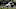 NFL: NFC Wild Card-Detroit Lions at Seattle Seahawks NFL: NFC Wild Card-Detroit Lions at Seattle Seahawks