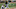 DraftKings DraftKings
