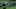 Tony Romo Tiger Woods Jordan Spieth pebble beach pro-am Tony Romo Tiger Woods Jordan Spieth pebble beach pro-am