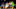 Minnesota Timberwolves, Jaden McDaniels Minnesota Timberwolves, Jaden McDaniels