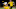 28 September 2019, North Rhine-Westphalia, Dortmund: Soccer: Bundesliga, Borussia Dortmund – Werder Bremen, 6th matchday. Dortmund’s Marco Reus (r) cheers after his goal to 2:1. Photo: Marius Becker/dpa 28 September 2019, North Rhine-Westphalia, Dortmund: Soccer: Bundesliga, Borussia Dortmund – Werder Bremen, 6th matchday. Dortmund’s Marco Reus (r) cheers after his goal to 2:1. Photo: Marius Becker/dpa