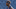 Roquan Smith #58, Chicago Bears Roquan Smith #58, Chicago Bears