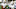 College Football early signing day predictions 2022 College Football early signing day predictions 2022