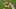 Kansas City Chiefs Super Bowl