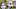 Miami Dolphins Miami Dolphins