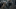 Shiva - The Walking Dead - AMC Shiva - The Walking Dead - AMC