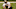 Joey Harrington Joey Harrington